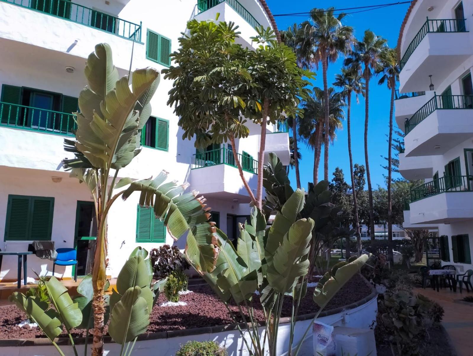 Canarian Havaii  Playa del Ingles  Exterior foto